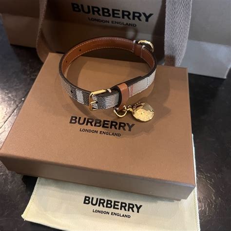 burberry for dogs